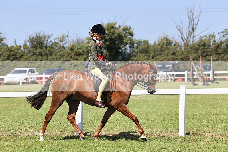 IMG_2069 - Class 34: Show Hunter Pony 153cm and under
