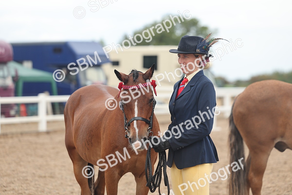 SBM_07814 - Class 27 - IH Competition Horse/Pony