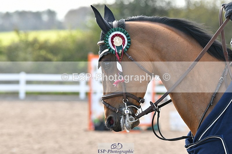 240421A-162839-15398 - Cls 32, YH 6yr 1.20m