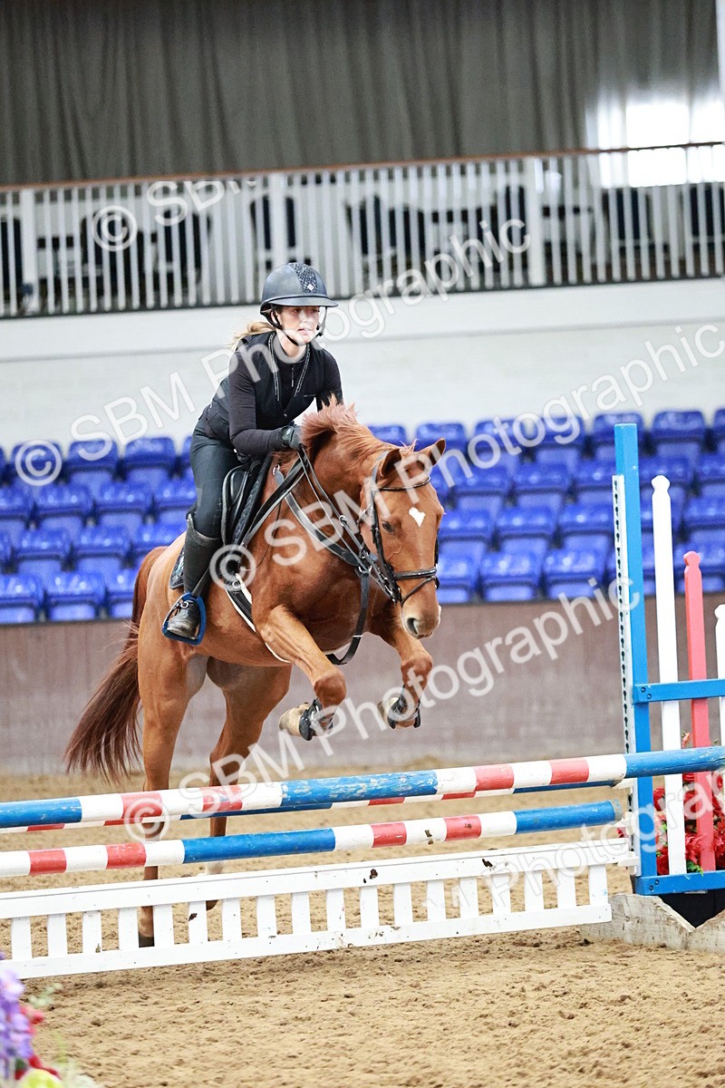 SBM_000185 - Class 1 - Clear Round Show Jumping 80cm