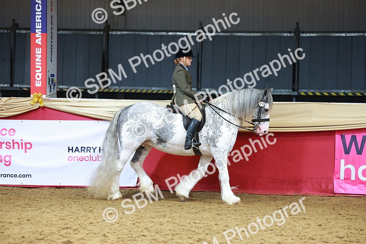 SBM_12388 - Class 103 - HOYS Veteran Qualifier - Ridden Pre Vet