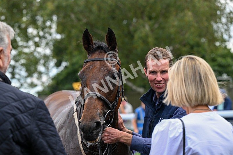 160926-Race 1-Austrian Theory-9288 - Race 1 2.08pm Season Finale Is Next Tuesday Selling Handicap
