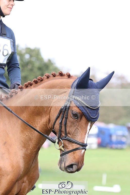 231019-160107-05124 - 436-MASSACHUSETTS-Georgia.Henderson-DR