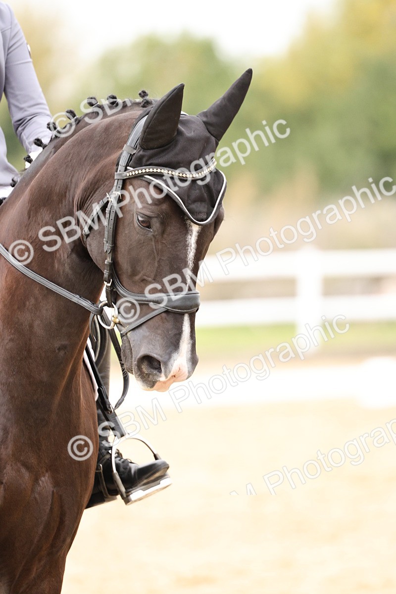 SBM_019698 - Class 18 - Elementary 5