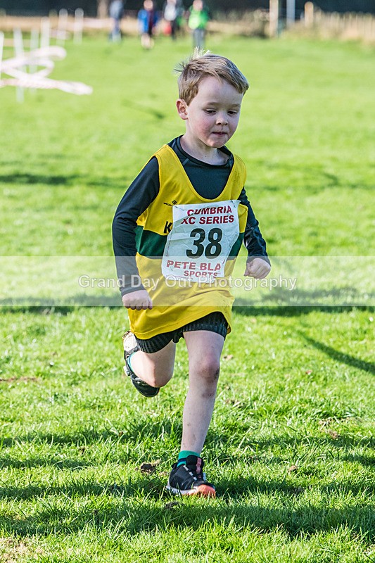 Cumbria XC-16 - Cumbria XC League Workington Saturday 26th October 2024
