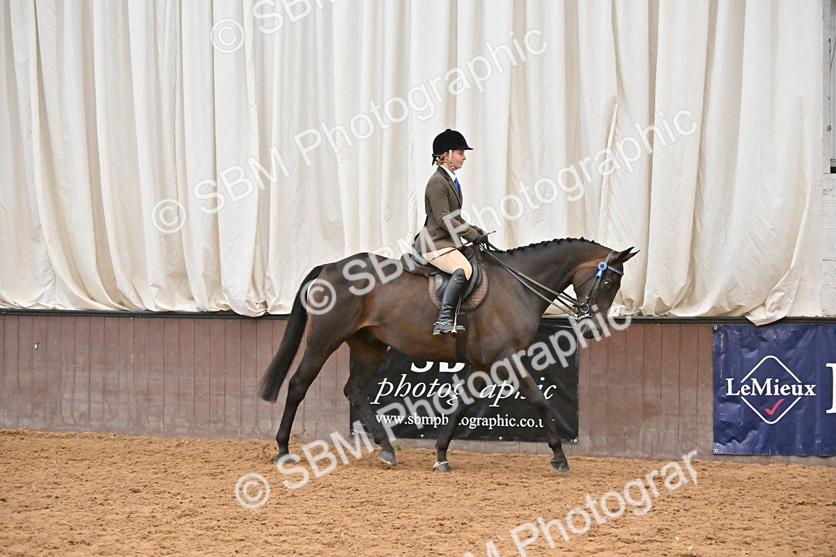 SBM_002335 - Class 22 - BSHA Ridden Hack & Riding Horse