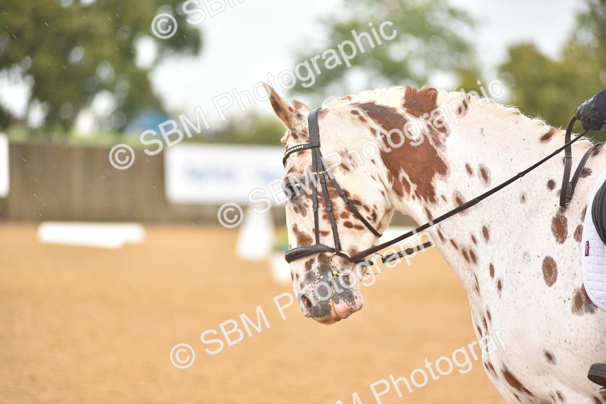 SBM_00393 - D7 - Small Tour Championship Prelim 2