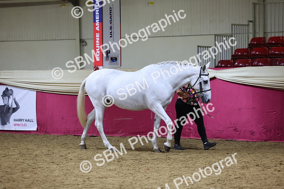 SBM_18785 - Class E IH Horse Champ