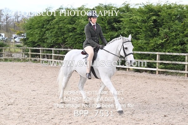 BPP_7531 - RING 1  (RIDDEN HORSES / IN HAND / VETERAN ETC)