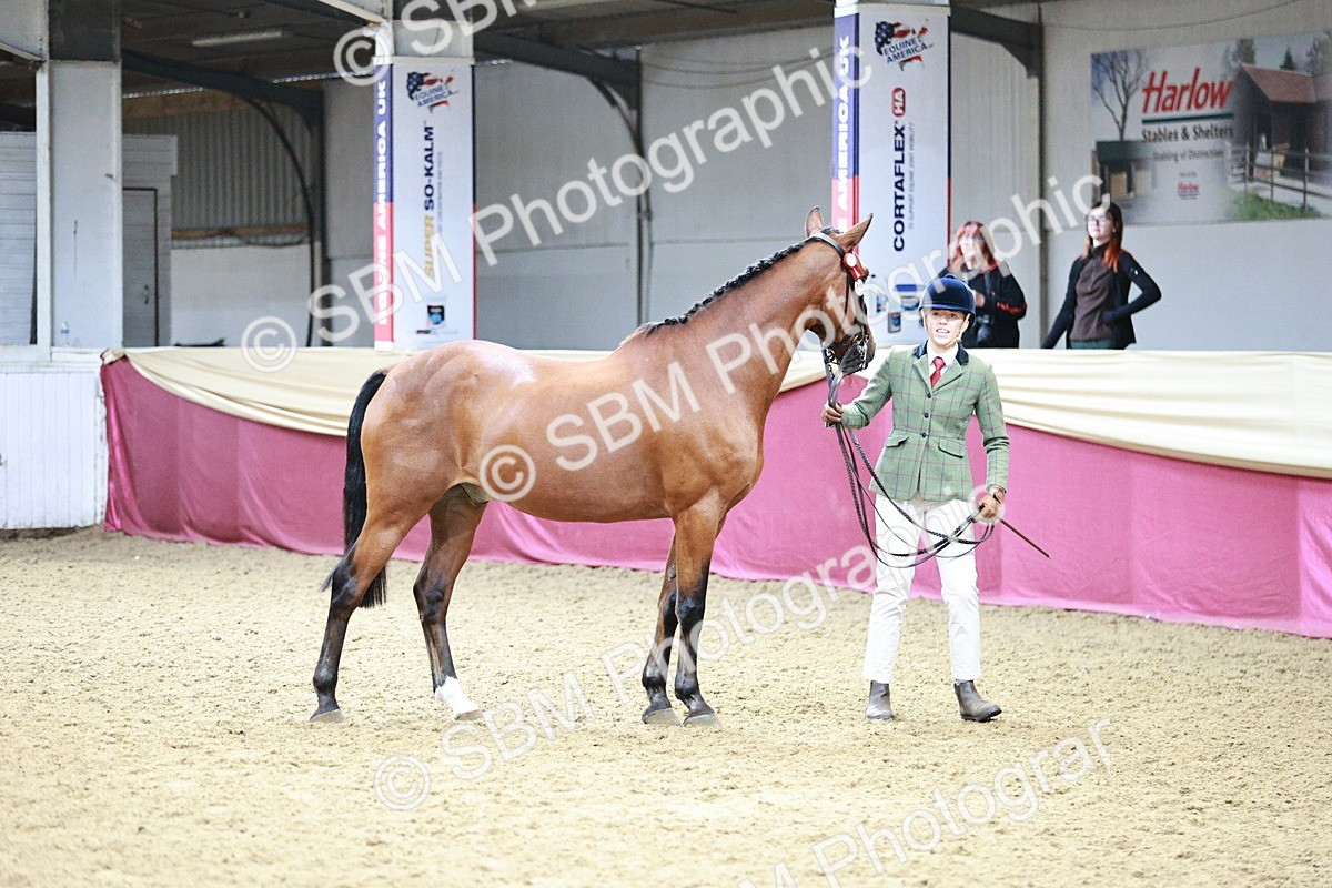 SBM_01142 - Class 3A - Area IH Pre-Vet