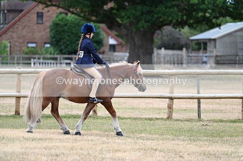 WJ7_0421 - Class 2 Best rider