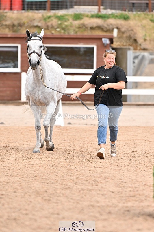250716-154649-02181 - Trot Up 3.30 to 4.30