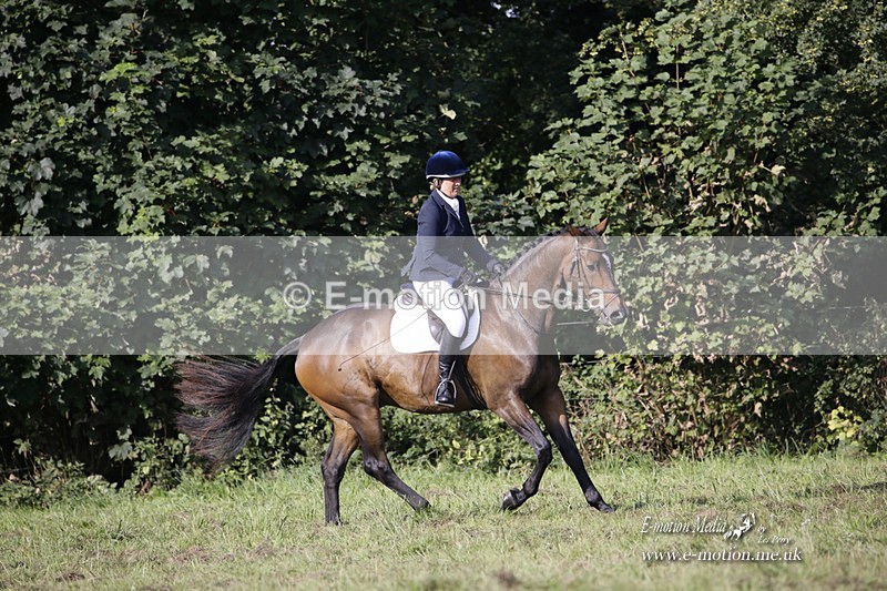BVRC 120921 104 - Bourne Valley Riding Club UA Dressage & Show Jumping 12/09/21