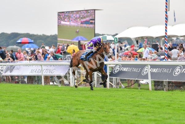 100923-Pony Race 1-1553 - Pony Race 1 12.25 The Dragon (TV and Film) Studios Pony Race 148cm & Under