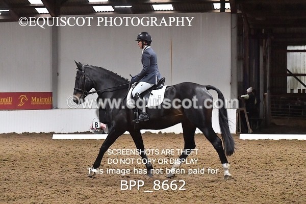 BPP_8662 - NOVICE 6 BD
