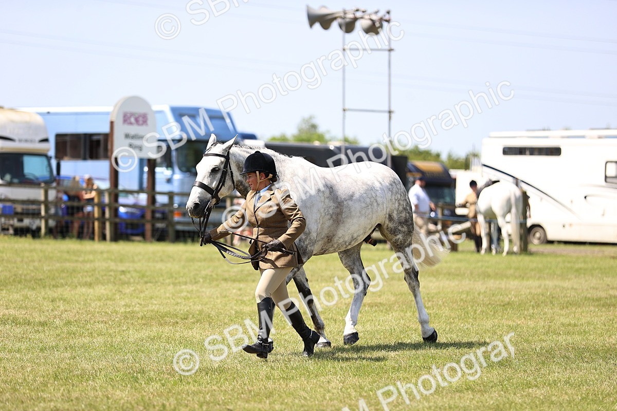SBM_15204 - Class 79-80 - LIHS BSHA Rising Star Ridden Hunter
