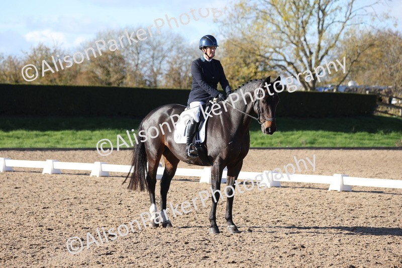 20251102-0964 - Class 5 - Elementary 5