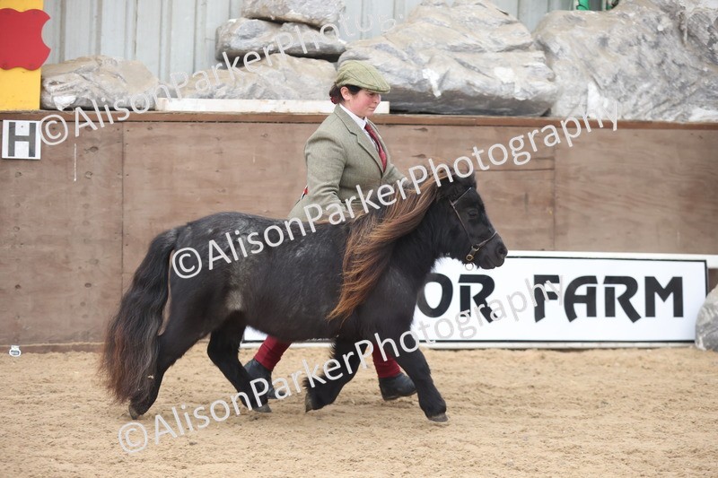 20251109-0232 - Class 11 - 2 and 3 Year Old