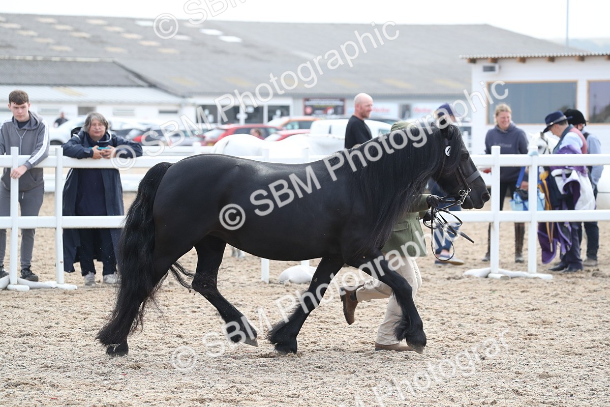 SBM_23281 - Class 606 - 2025 Area - IH Pre Vet