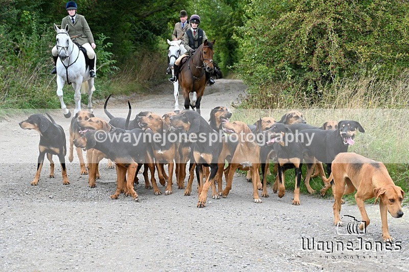 WJ7_0808 - Berks & Bucks Hound Exercise Blewbury 13-09-26