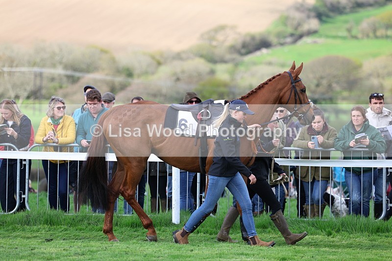 3E7A1214 - Race 6: Maiden (NWFAA)