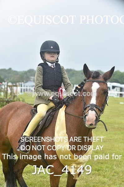 JAC_4149 - 40CM WORKING HUNTER