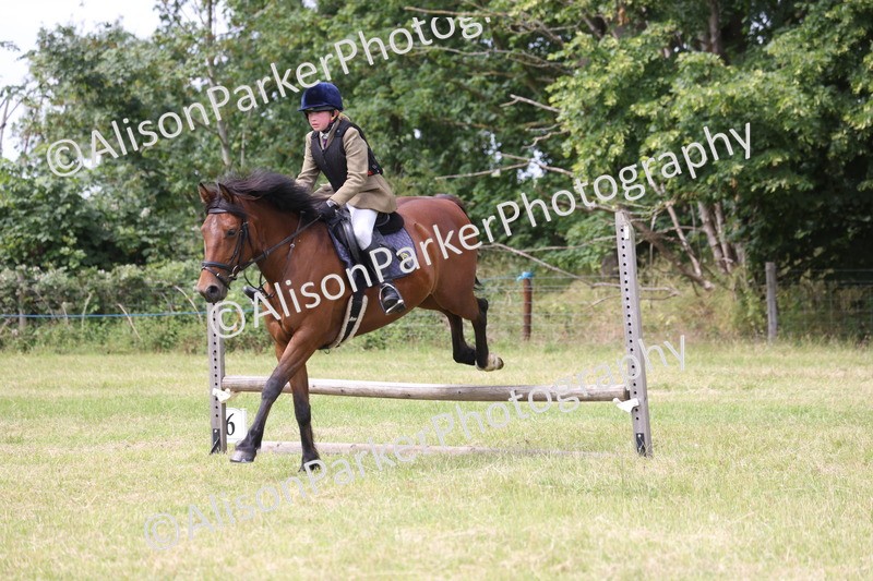 20260614-4078 - Class 24 - Mini and Major Pairs Jumping