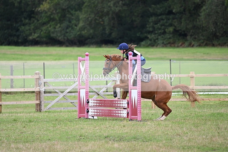 WJ6_1939 - 60cm Time 12:30 to 12:49