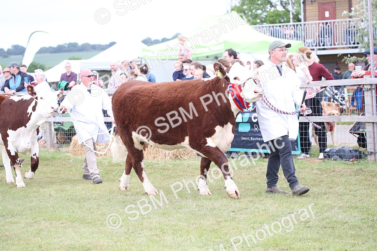 SBM_07834 - Grand Parade