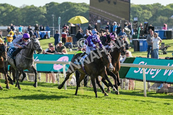 140525-Race 7-Great Bedwyn-3068 - Race 7 5.25pm Stuey Weston & Friends Getting Out Handicap