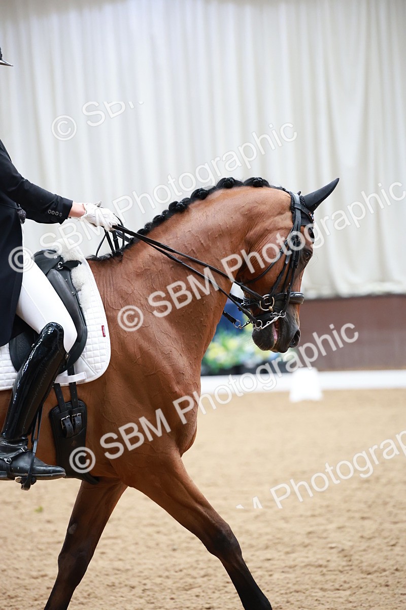 SBM_009624 - Class 13 - FEI PSG - 11.06-12.34