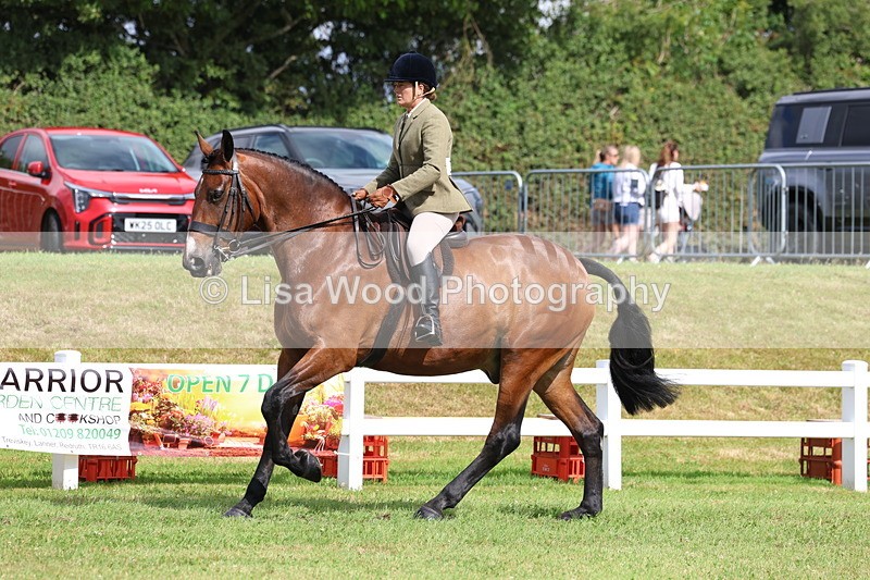 3E7A9346 - Class 4: Rising Star M/H Hunter