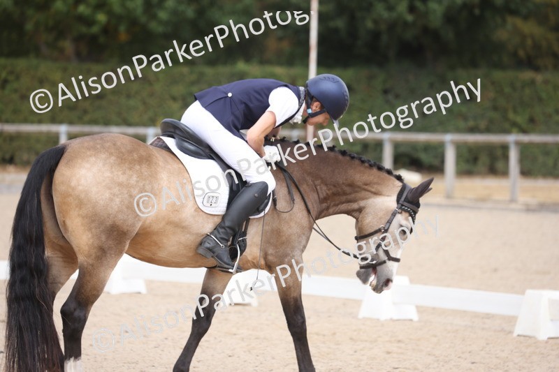 20260816-1171 - Class 4 - Novice 6