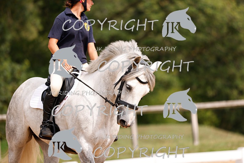 _R6A2792 - Dressage Morning