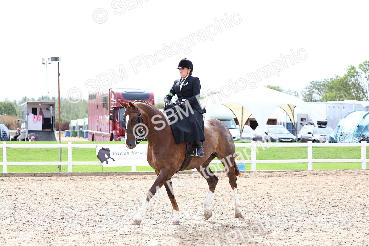 SBM_03340 - Class 23 - SSA Classical (any age)