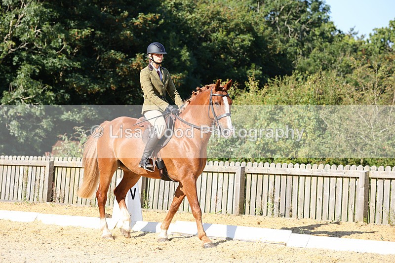 1X9A7699 - Class 9: Open Ridden Hunter