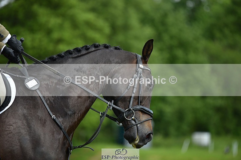 240523B-112730-01971 - 5 Year Old