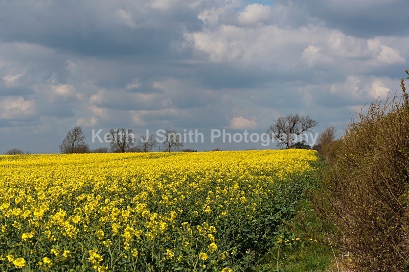 YR6M4827 - United Kindom