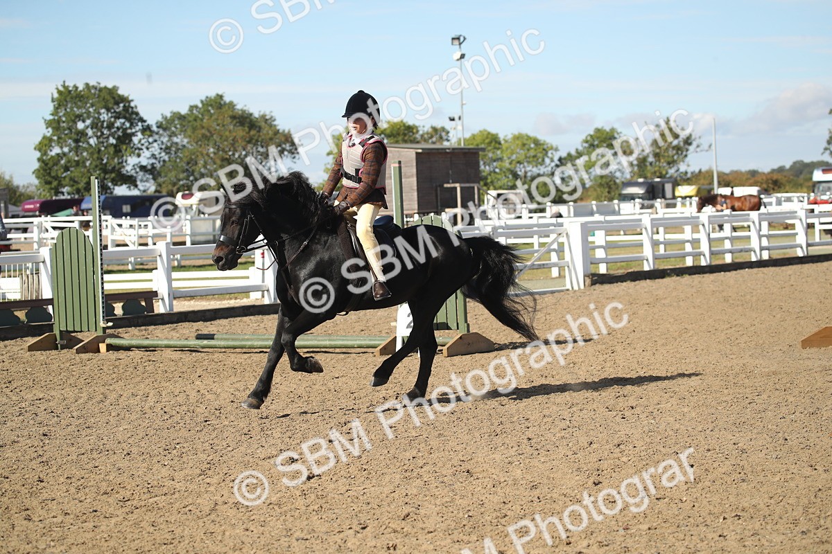 SBM_12691 - Class 504a - Junior Working Veterans - 40cm (15-19)