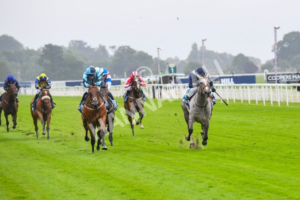 140723-Race 3-Symbology-0270 - Race 3 3.15pm William Hill Keep Your Raceday Positive Irish EBF Fillies' Novice Stakes