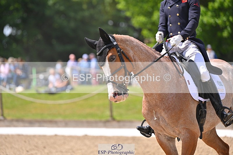 250523A-122250-06845 - C-282-Harry.Meade-NASHVILLE