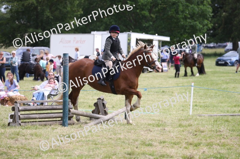 20260614-4069 - Class 24 - Mini and Major Pairs Jumping