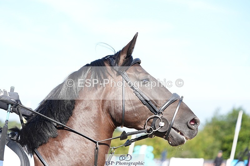 250802-090822-08251 - Cls 19 British Novice and 90cm Open