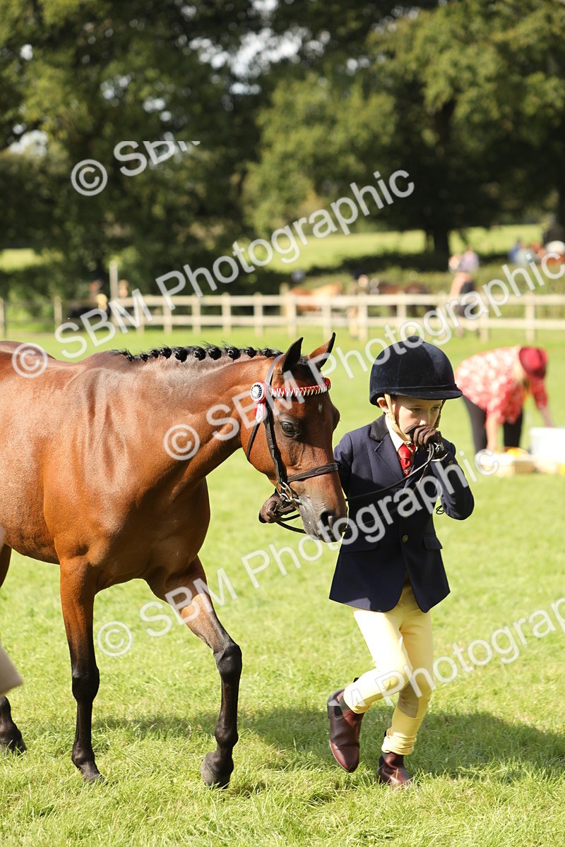SBM_67823 - S39 - Junior Handler 8  Years & Under