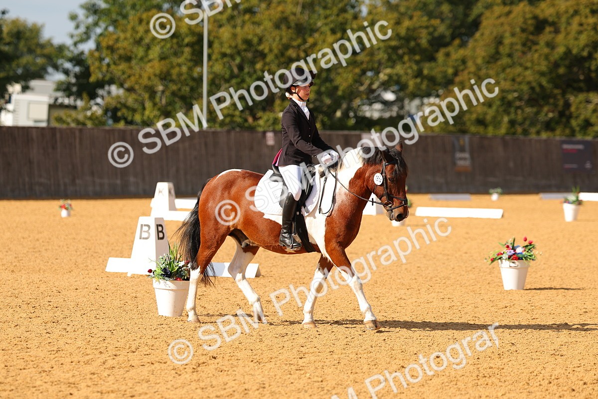 SBM_48420 - D6 - Small Tour Championship - Intro C