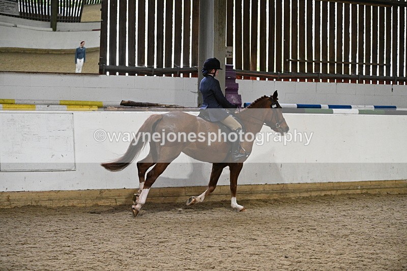 WJ7_3856 - Class 17 Ridden Cob