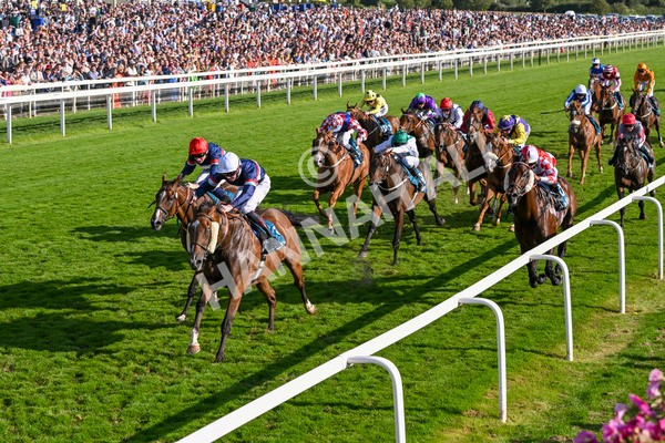 240824-Race 7-Sir Busker-1989 - Race 7 5.20pm Sky Bet Finale Handicap