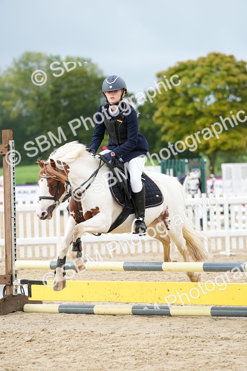 SBM_32448 - J5 - Junior Pony 50cm Championship