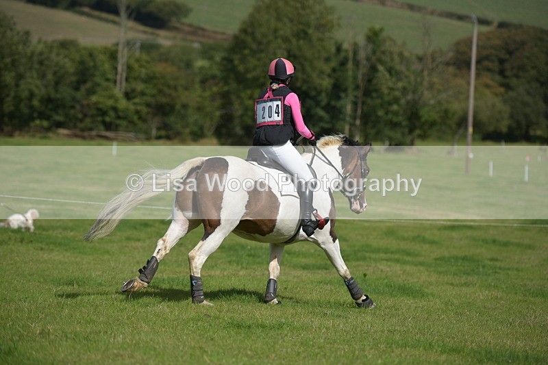 RAY_8636 - Class 2: Trekenning Open: Wall