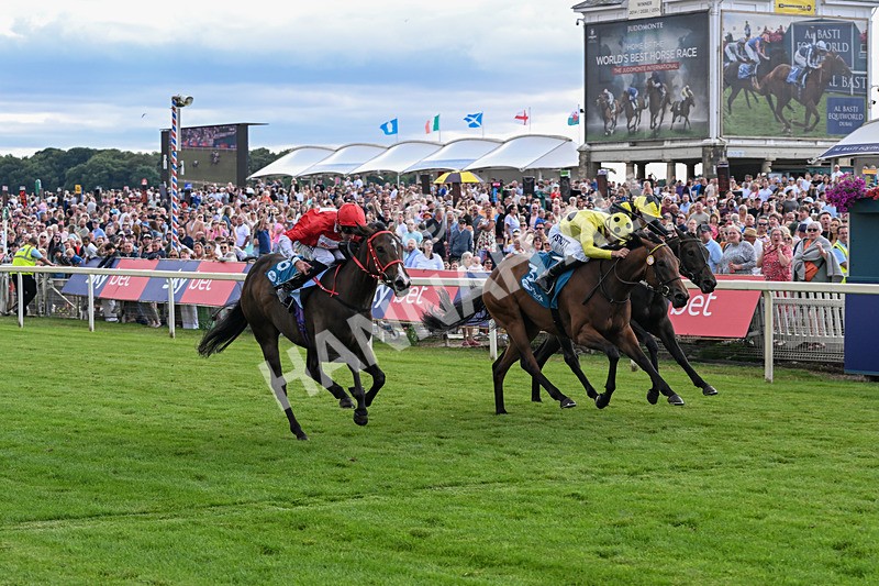 250726-Race 5-Rogue Jewel-7571 - Race 5 15.42pm Sky Bet Price Boosts EBF Fillies' Novice Stakes